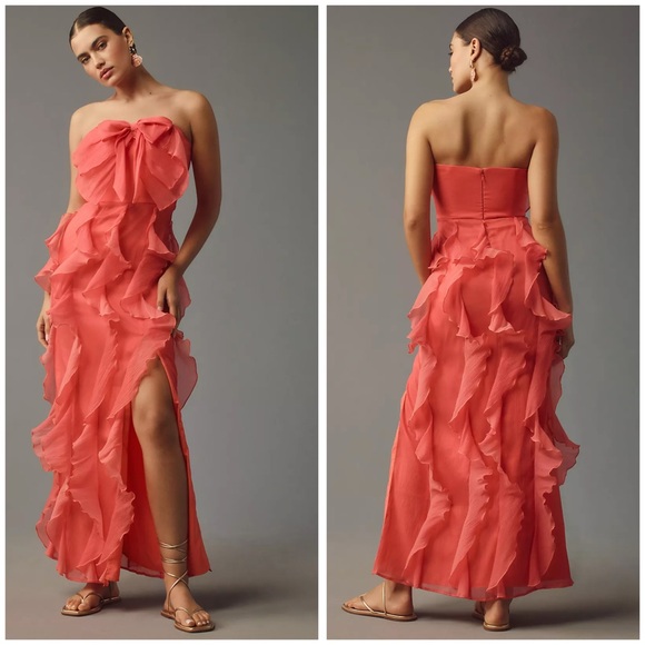 Hutch Dresses & Skirts - New Hutch Strapless Tiered Tulle Maxi Dress
